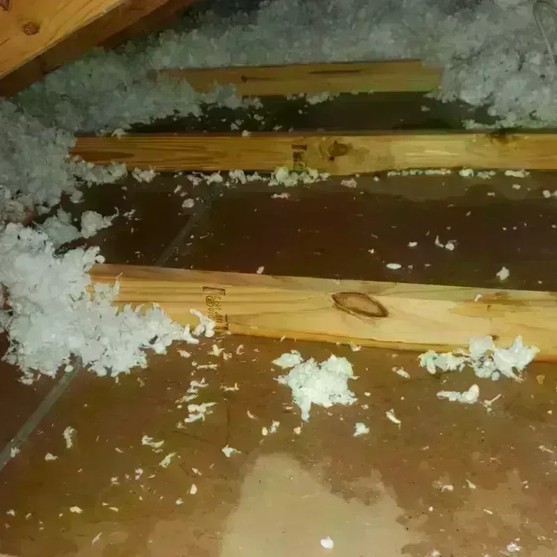 Attic Water Damage in Lazy Mountain, AK