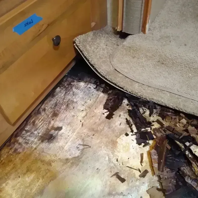 Wood Floor Water Damage in Lazy Mountain, AK